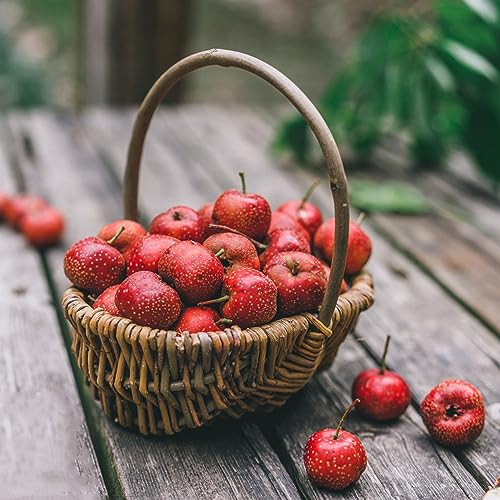 100 Piezas Semillas De Plantas De Espino, Regalos Sostenibles Semillas De Plantas, Fruta De Zapote, Crataegus Pinnatifida, Árboles Resistentes Al Jardín, Frutos De Árboles Frutales