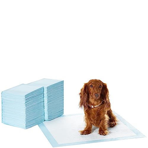 Amazon Basics Almohadillas de adiestramiento de perros y cachorros, diseño de 5 capas a prueba de fugas con superficie de secado rápido, regular, 100 unidades, Azul