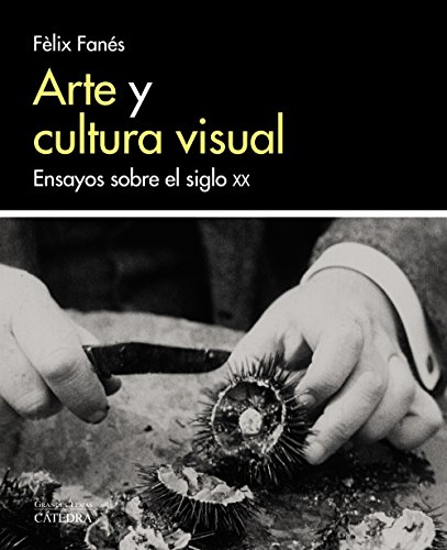Arte y cultura visual: Ensayos sobre el siglo XX (Arte Grandes temas)