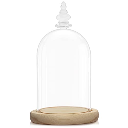 Belle Vous Urna Cristal con Base de Madera Natural — Cupula Cristal de 21,5 cm — Fanal Cristal Transparente para Luces de Hada, Centro de Mesa y Antigüedades