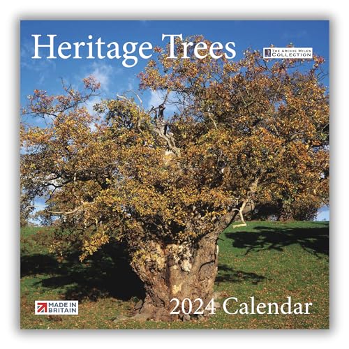 Calendario 2024 de árboles del patrimonio británico, ecológico, papel FSC, hecho en el Reino Unido, inspirado en la naturaleza con impresionantes fotos de árboles patrimoniales, apoya la plantación de
