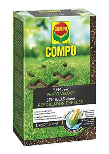 COMPO Semillas de césped repoblador Express, para 50 m², 1 kg, 2357802011