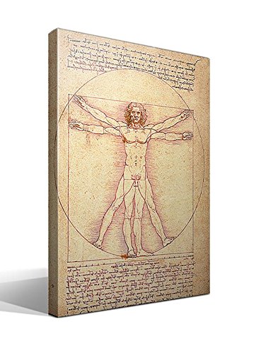 cuadrosfamosos.es Cuadro El Hombre Vitruvio | Leonardo Da Vinci | Impresión sobre Lienzo de Algodón 100% | Bastidor de madera 3x3cm | Obras de arte para decoración | Fabricado en España | 40x55 cm