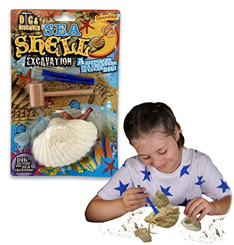 Dig & Discover - Excavación de Conchas de Deluxebase. Kit de excavación fósil de Conchas para niños y niñas.