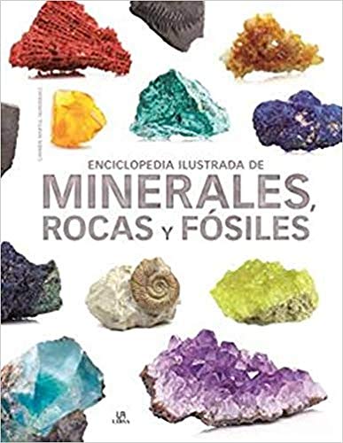 Enciclopedia Ilustrada De Minerales, Rocas y Fósiles: 13 (Grandes Enciclopedias)