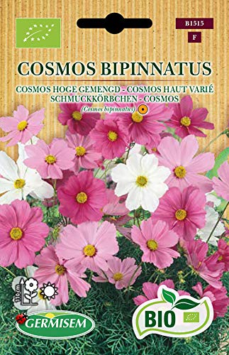 Germisem Orgánica Cosmos Bipinnatus Semillas de Cosmos 2 g, ECBIO1515