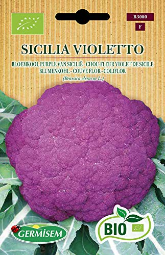 Germisem Orgánica Sicilia Violetto Semillas de Coliflor 1 g (ECBIO3000)