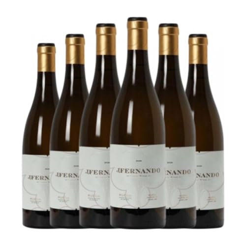 J. Fernando Vendimia Seleccionada Verdejo Rueda 75 cl Vino blanco (Caja de 6 Botellas de 75 cl)