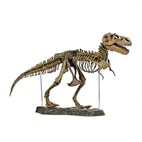 Juguete de dinosaurio modelo, 4D Dinosaur Fossil Skeleton Toys Dinosaurio esqueleto educativo colección de juguetes para niños y adultos