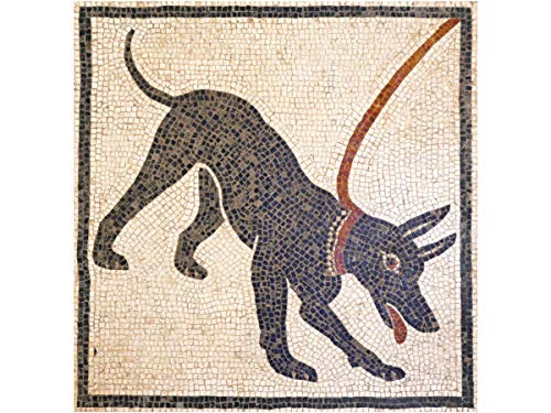 Kit de mosaico romano Cave Canem. 5000 teselas cúbicas de 5mm. + herramientas. Tamaño terminado: 38x38cm.