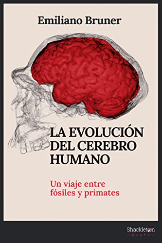 La evolución del cerebro humano: Un viaje entre fósiles y primates (CIENCIA)