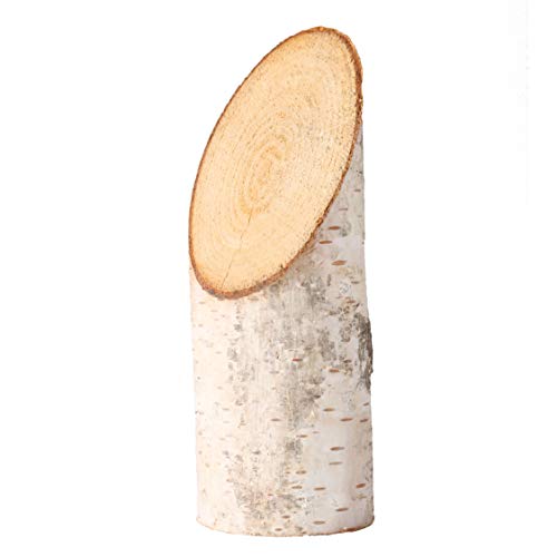 La Wooderie Troncos de abedul con corte oblicuocon encaje, tronco de árbol, madera natural oblicua para proyectos de bricolaje, manualidades, Navidad, bodas, decoración de mesa (15 cm de alto (46