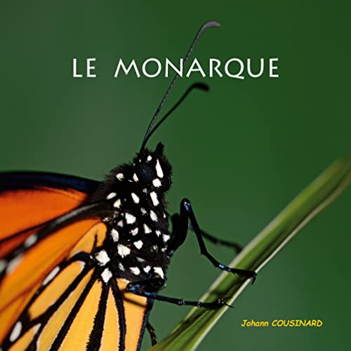 Le monarque: 2 (Collection Découverte Jeunesse)