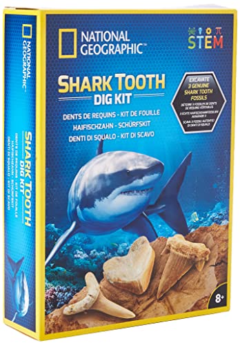 National Geographic Kit de excavación de dientes de tiburón, fascinantes kits de excavación para niños con fósiles de dientes genuinos de 3 especies de tiburón, kits educativos de ciencia STEM regalos