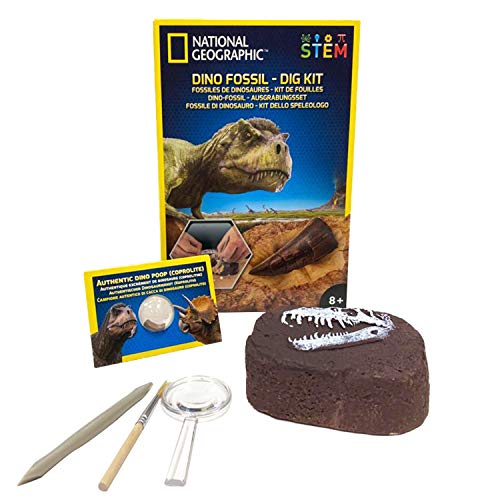 National Geographic Kit de excavación de Dinosaurios, Color, Mittel (JM80215)