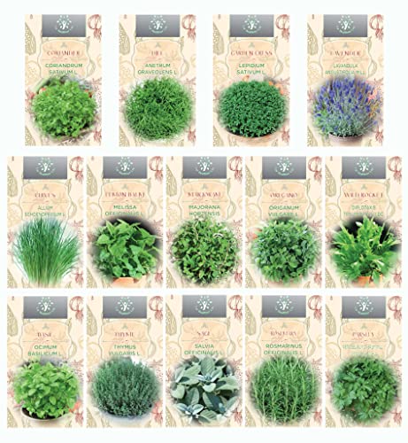 Nojaus Seklos - 14 paquetes de semillas de hierbas variadas