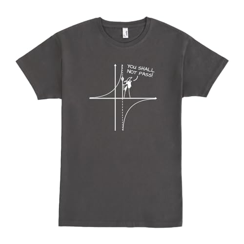 Pampling Camiseta de Manga Corta, 100% Algodón, Ropa Unisex para Hombres y Mujeres en 5 Tallas, Camiseta Gris, Modelo You Shall Not Pass (L)