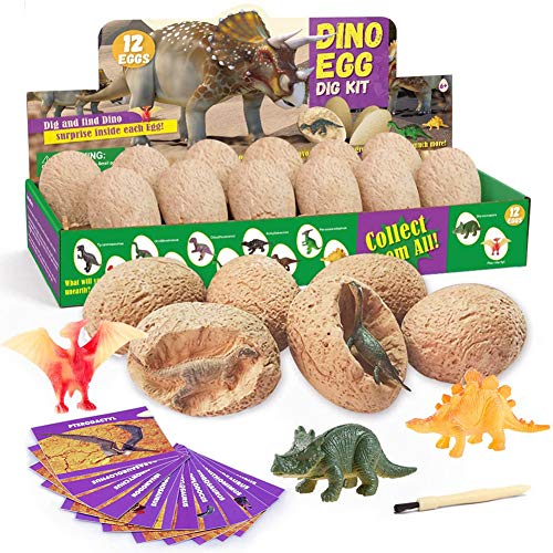 Pinkgarden Kits de excavación de Dinosaurios, Kits de excavación de Huevos de Dinosaurio para Fiestas Infantiles, arqueología, paleontología, Regalo Educativo