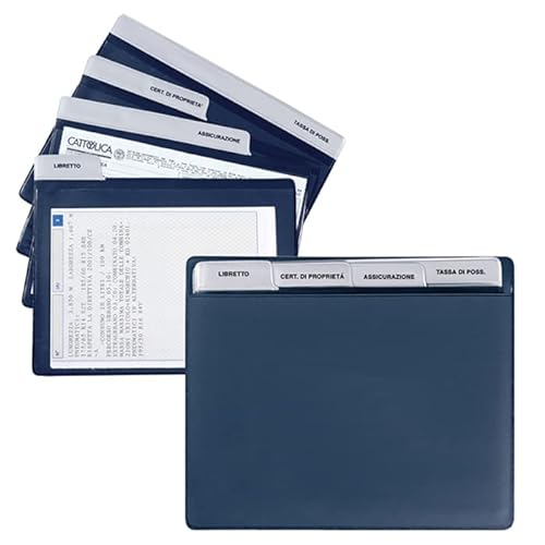 pubblimania Portadocumentos para coche con compartimentos de Tam con 4 tarjetas de sobres extraíbles individualmente (azul)