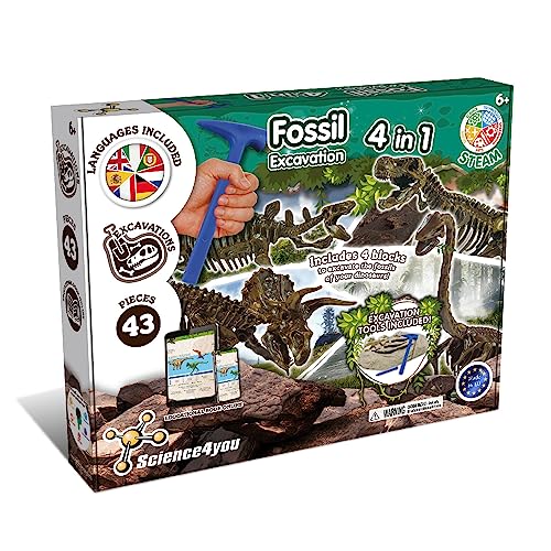 Science4you - Excavaciones Fósiles 4 en 1 - Kit Paleontologia para Niños 6+ Años, Excava 46 Fosiles de 4 Dinosaurios, Juguete Científico y Educativo con Dinosaurios para Niños +6 Años