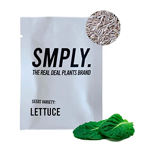 SMPLY. - Semillas de Lechuga - Válidas para Cultivo en Exterior e Interior - Ideales para Huertos Urbanos, Huertas, Terrazas o Jardines - Hierba Aromática Fácil de Cultivar