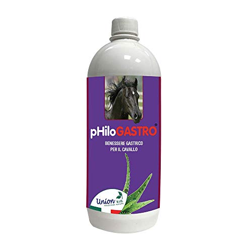 Union Bio® Philogastro 1 litro - Protección Diaria del estómago del Caballo, Producto Natural para el Bienestar y la homeostasis gástrico del Caballo, restaura el Equilibrio de la Zona gástrica