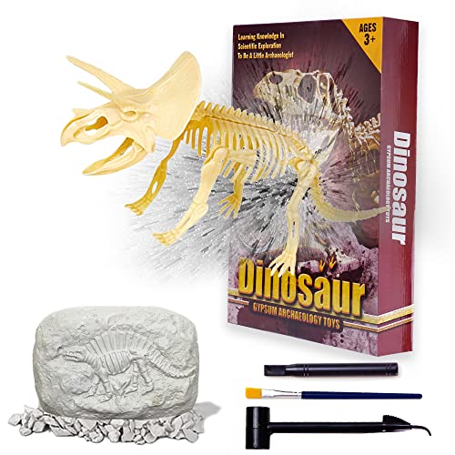 VingaHouse Juego de Dinosaurios de excavación - Juguetes de arqueología - Fósiles emocionantes - Regalos educativos para estimular los Intereses de investigación de los niños(Triceratops)