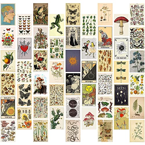 WAIZHIUA 50 Piezas Kit de Collage Botánico Vintage Aesthetic - Fotos Pared Decoracion Habitacion Aesthetic - Impresiones Posters para Pared - Cuadros Decoracion Dormitorios Adolescente